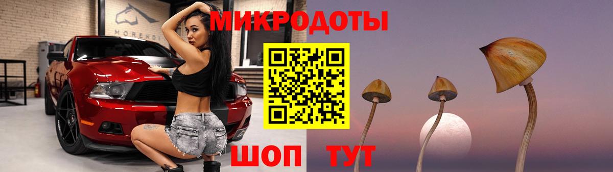 Псилоцибиновые грибы Psilocybe  Вход с VPN  Железногорск 